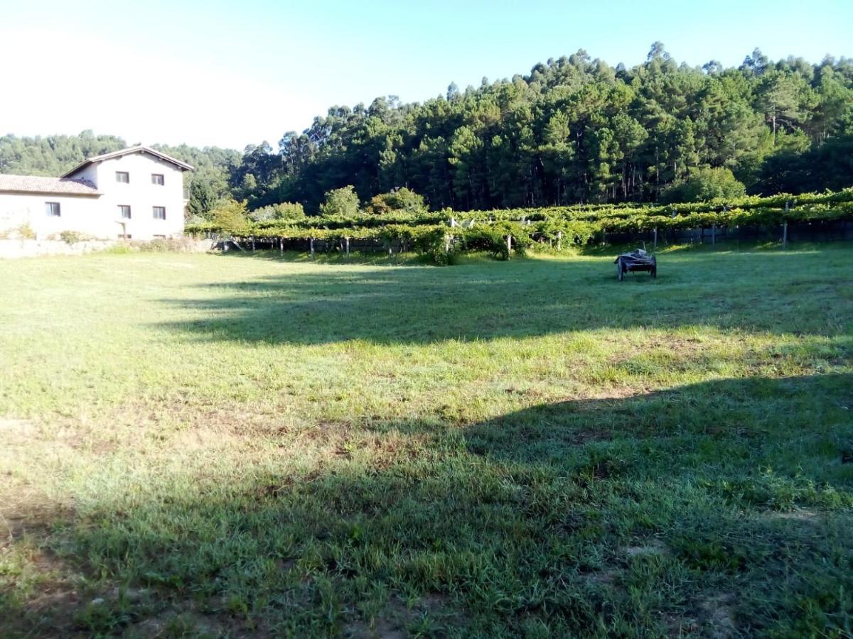 Bodega Villa Villanueva De Arosa Exteriör bild